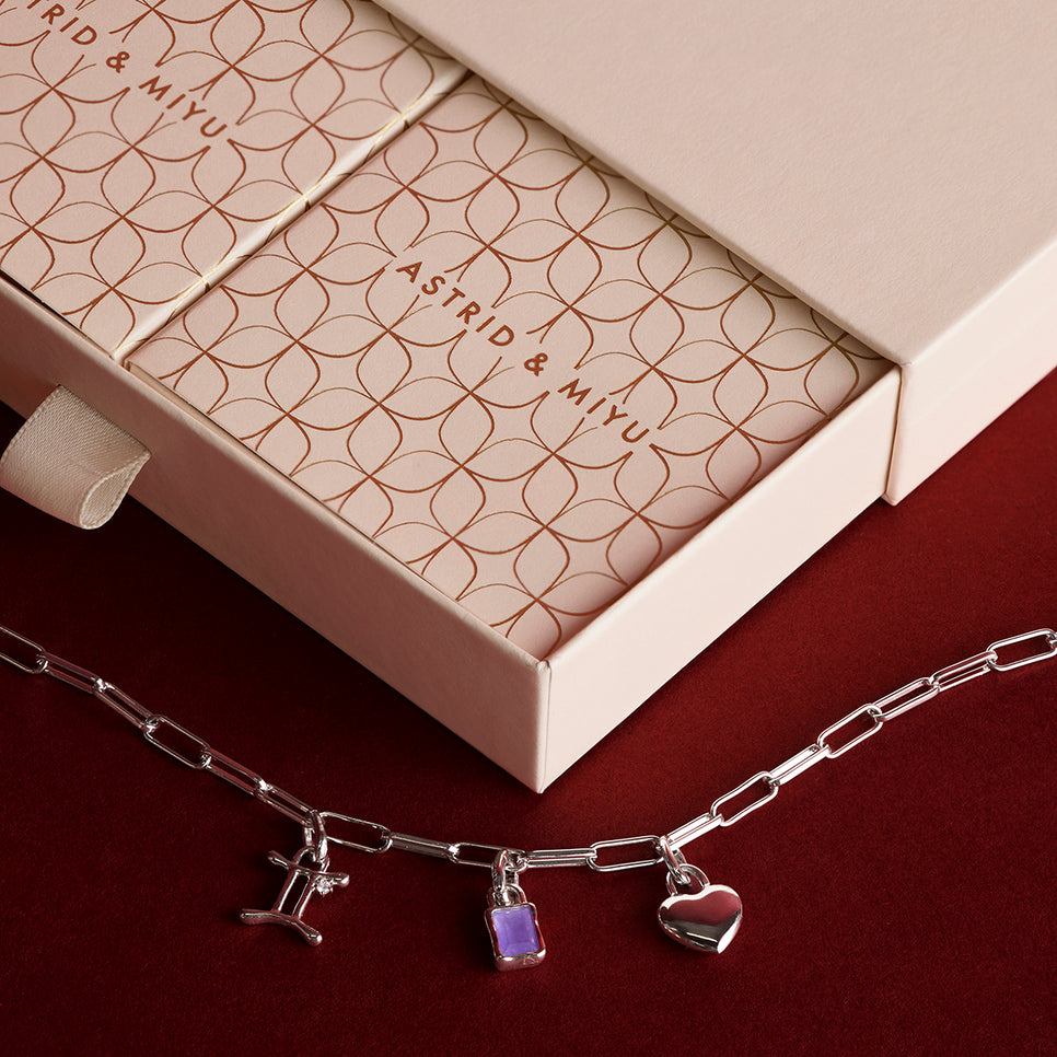 Piccadilly Necklace Charming Gift Set in Silver-Astrid &amp; Miyu