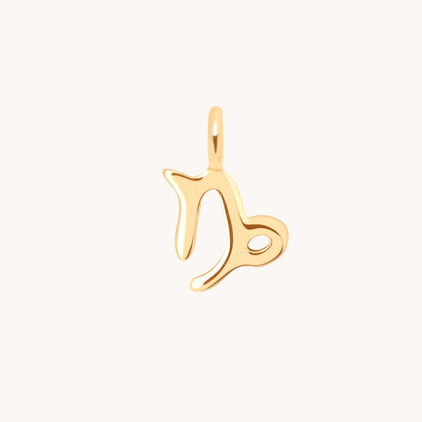 Capricorn Jewellery - Capricorn Zodiac Charm 9k Gold - Welding Charm - Astrid &amp; Miyu