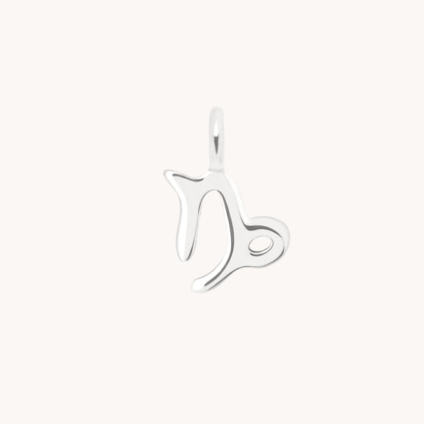 Capricorn Jewellery - Capricorn Zodiac Charm 9k White Gold - Welding Charm - Astrid &amp; Miyu