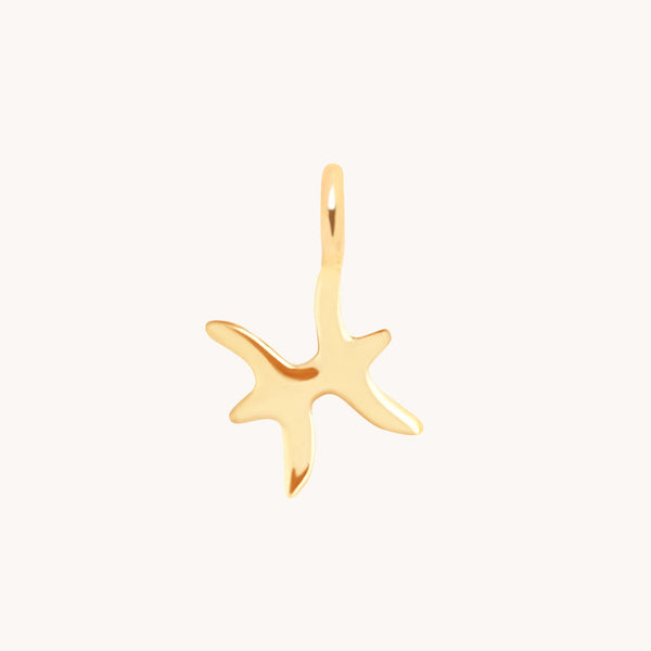 Pisces Jewellery - Pisces Zodiac Charm 9k Gold - Welding Charm - Astrid & Miyu