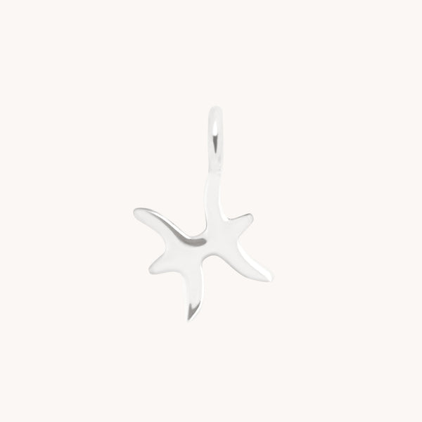 Pisces Jewellery - Pisces Zodiac Charm 9k White Gold - Welding Charm - Astrid & Miyu