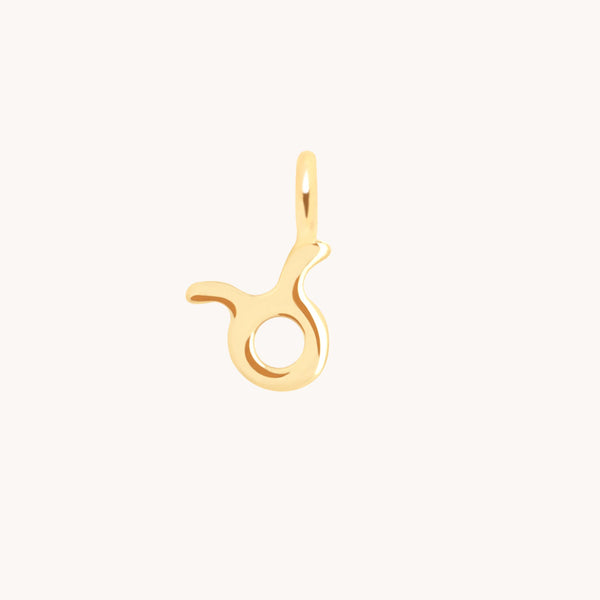 Taurus Zodiac Charm 9k Gold - Welding Charm - Astrid &amp; Miyu